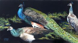 Wildlife, Birds, Pastel Art